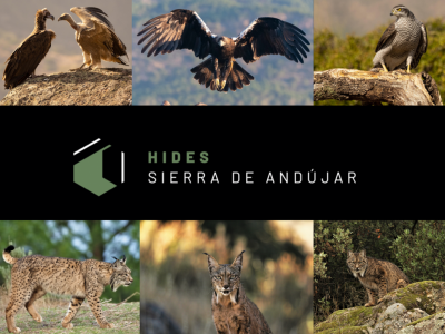 Diseño sin título Diseño sin título